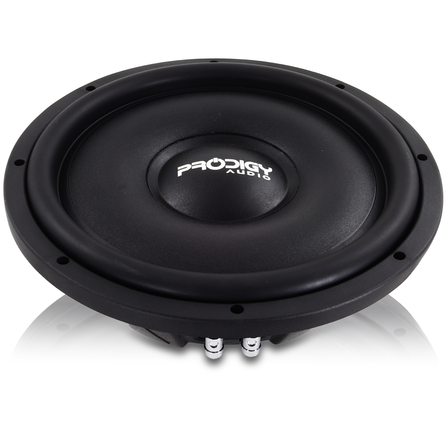 12" NB3 Series Subwoofer by Prodigy Audio™