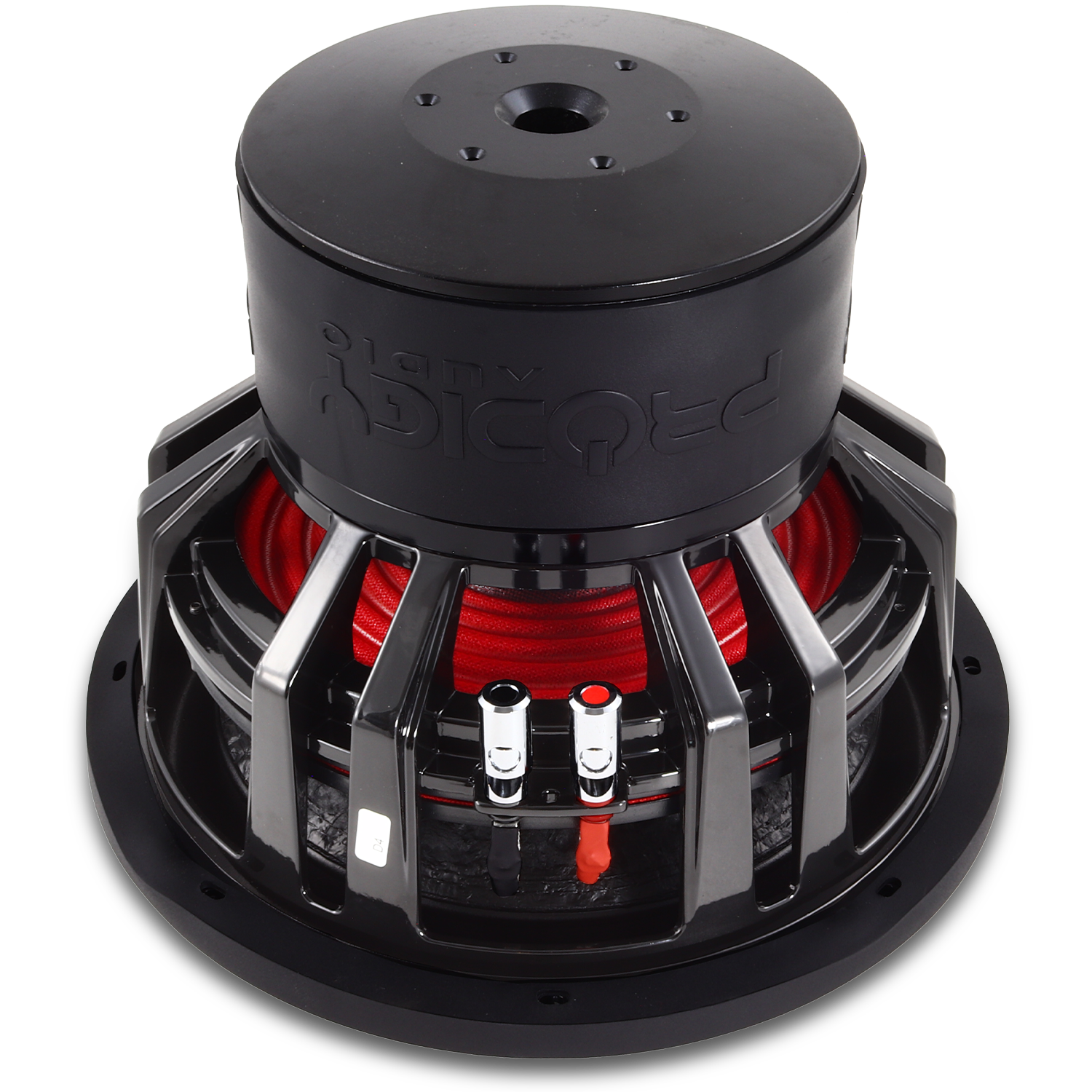 12" NB5 Series Subwoofer by Prodigy Audio™