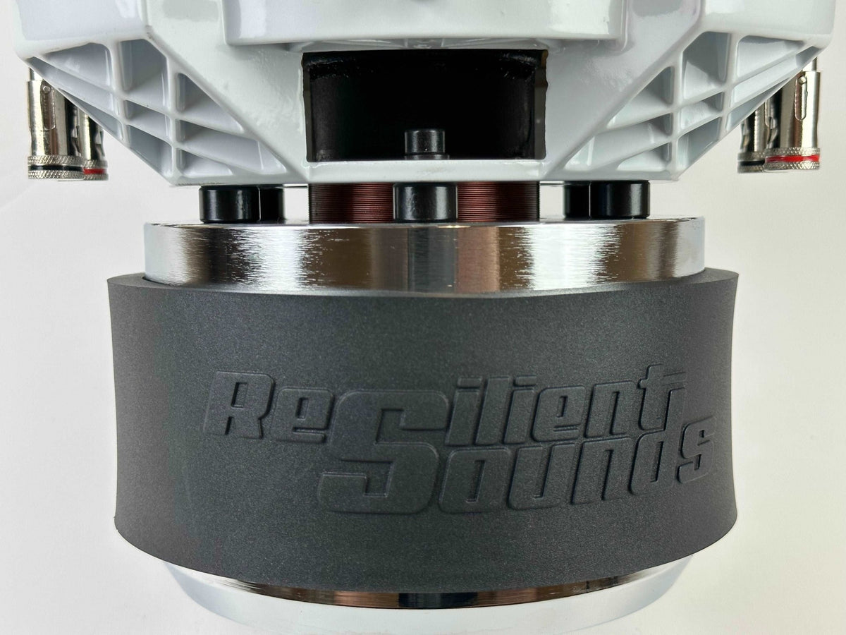 Resilient Sounds RS GOLD 10 1000W 10" Subwoofer - D4 - RS - GOLD - V1 - 10 - D4 - Sparked Innovations
