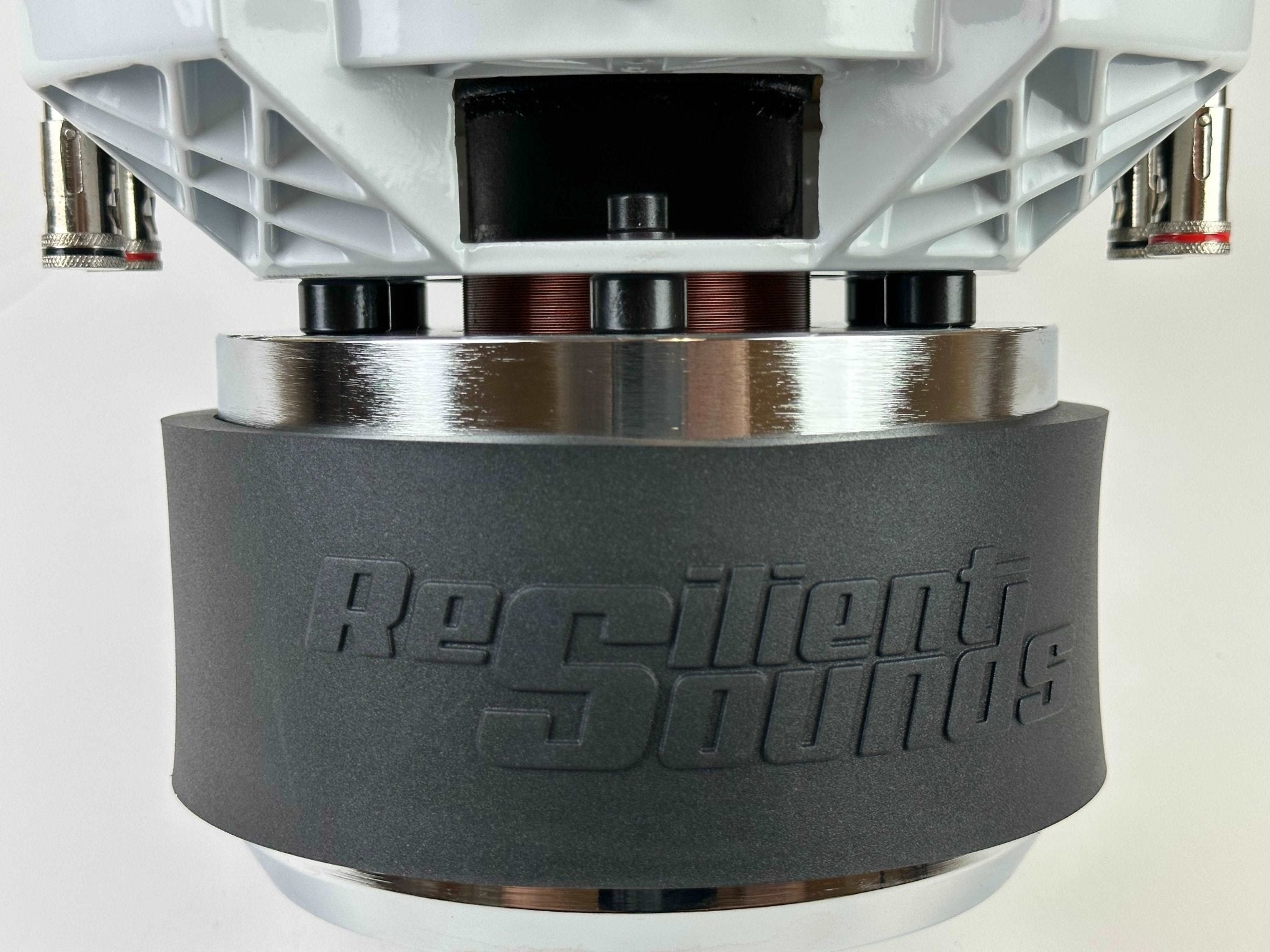 Resilient Sounds RS GOLD 10 1000W 10" Subwoofer - D4 - RS - GOLD - V1 - 10 - D4 - Sparked Innovations