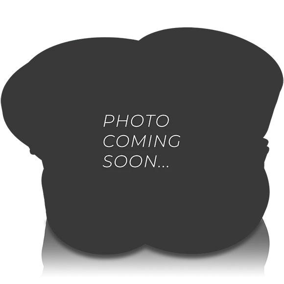 Sundown Audio NS - Series Drop - In Recone Kit - NSv.3 10" D1 - Sparked Innovations