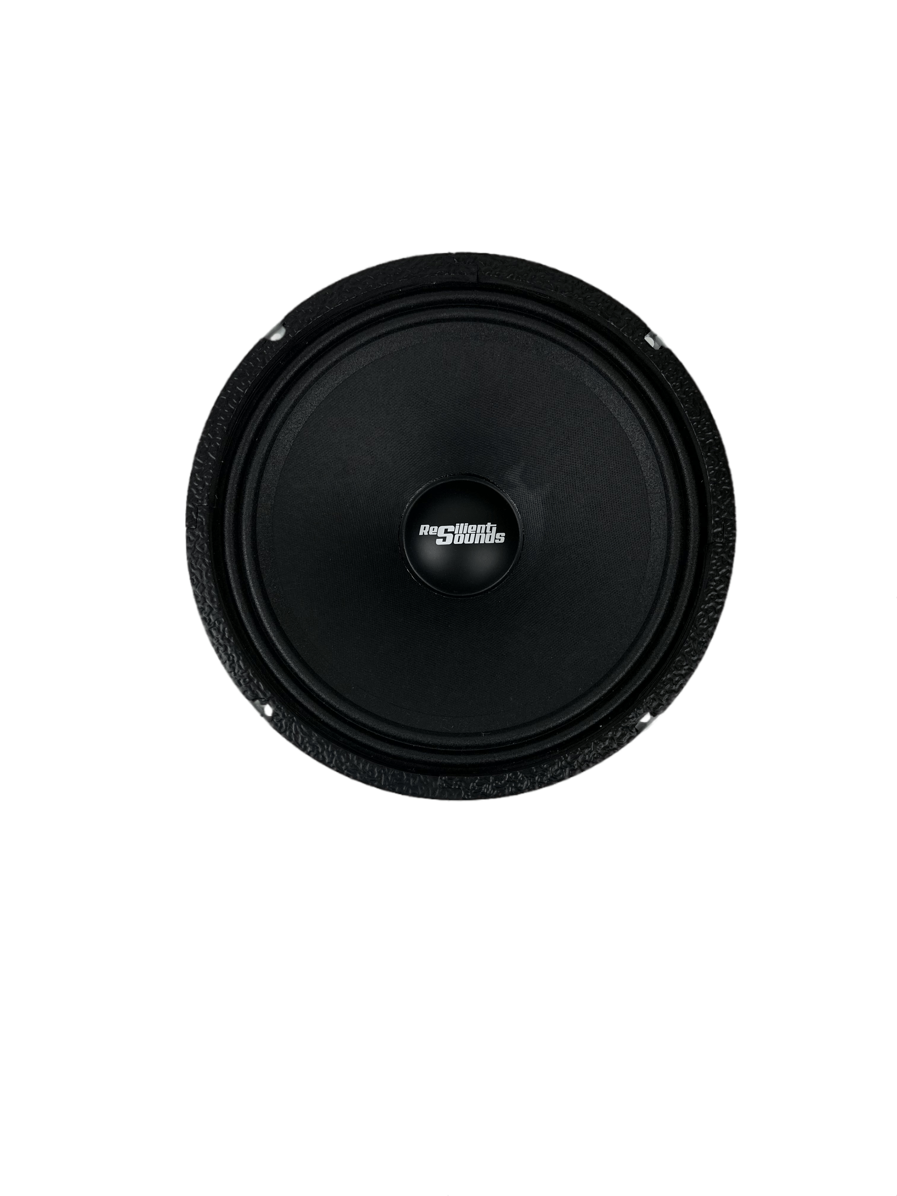 Resilient Sounds RS 10M 300W 4Ω 10" Speaker