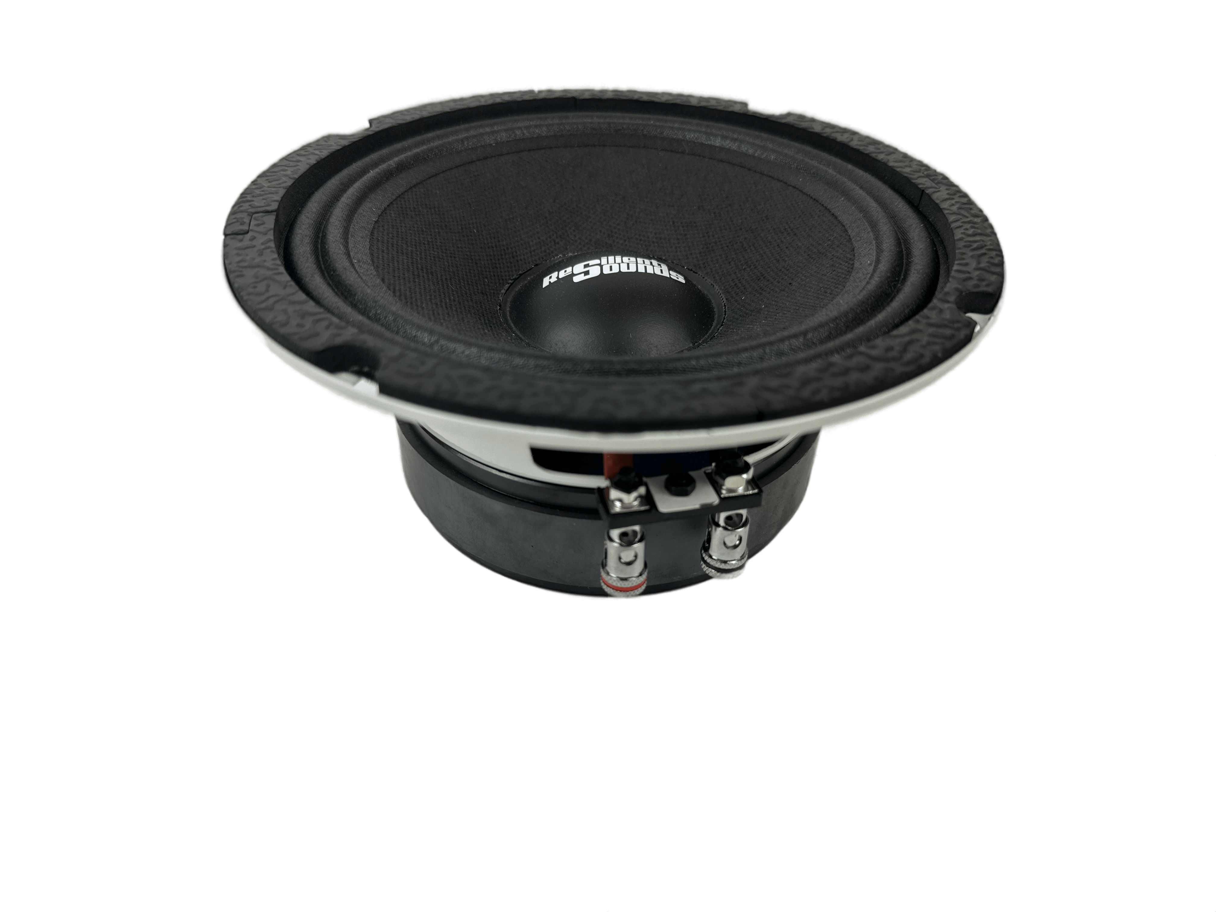 Resilient Sounds RS 65M 250W 4Ω 6.5" Speaker