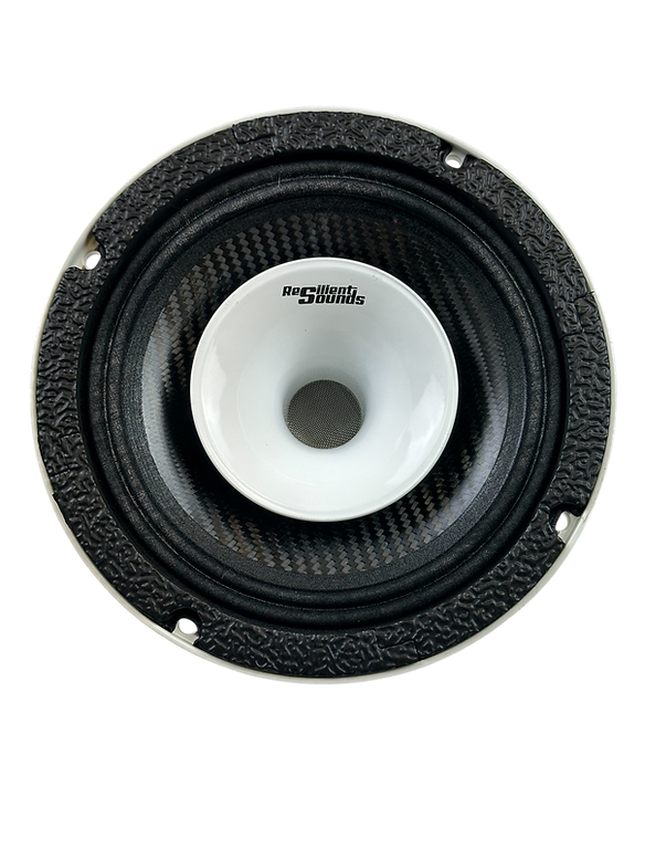 Resilient Sounds CPX6N NEO 6.5" Pro Audio Hybrid Loudspeaker with Horn 400W RMS