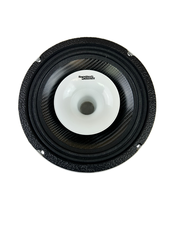 Resilient Sounds CPX6N NEO 6.5" Pro Audio Hybrid Loudspeaker with Horn 400W RMS