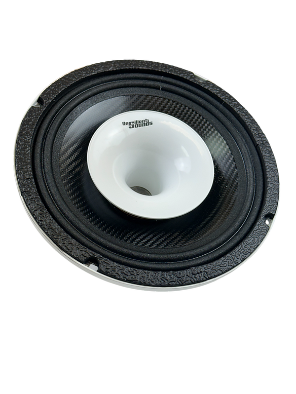 Resilient Sounds CPX8N NEO 8" Pro Audio Hybrid Loudspeaker with Horn 500W RMS