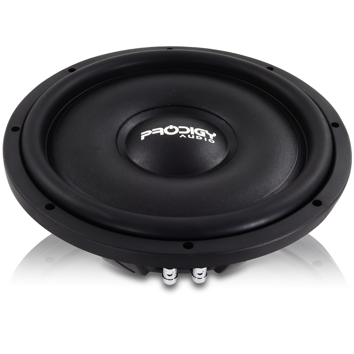 12" NB3 Series Subwoofer by Prodigy Audio™