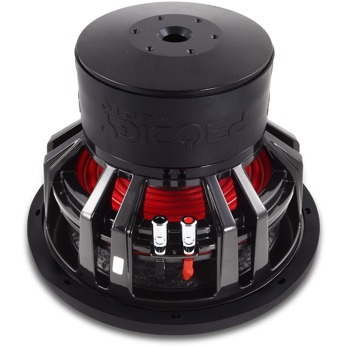 12" NB5 Series Subwoofer by Prodigy Audio™