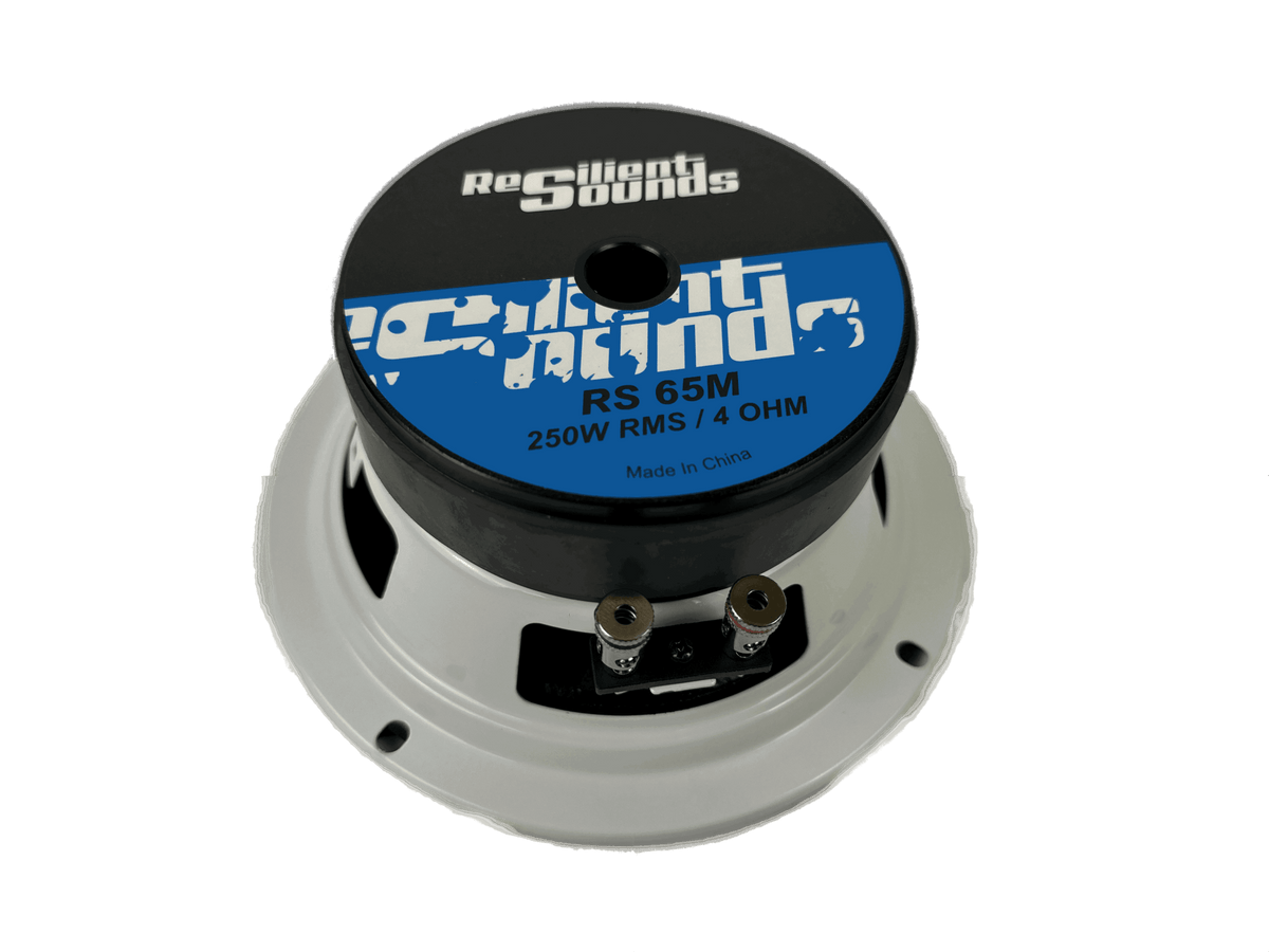 Resilient Sounds RS 65M 250W 4Ω 6.5" Speaker - RS - 65M - SP - Sparked Innovations